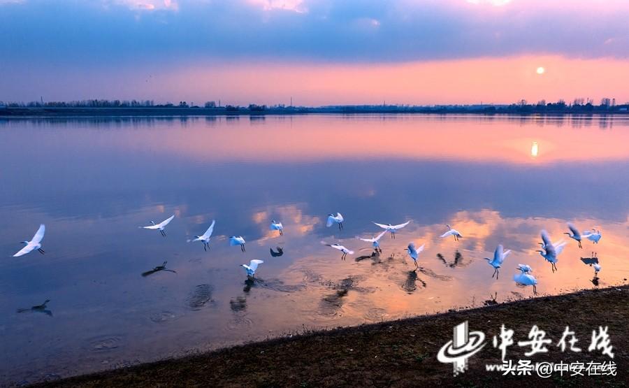 管灣濕地公園最新動態(tài)，生態(tài)建設(shè)的蓬勃發(fā)展