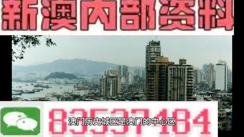 關于澳門精準正版資料大全的探討與警示——警惕違法犯罪問題的重要性