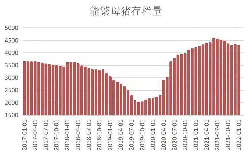 最新能繁母豬存欄數(shù)據(jù)，揭示行業(yè)趨勢與挑戰(zhàn)