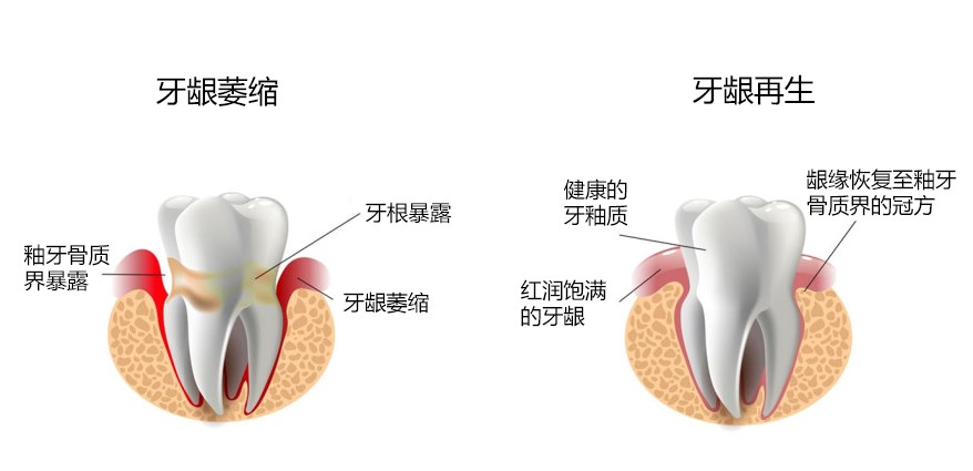 股市智多星